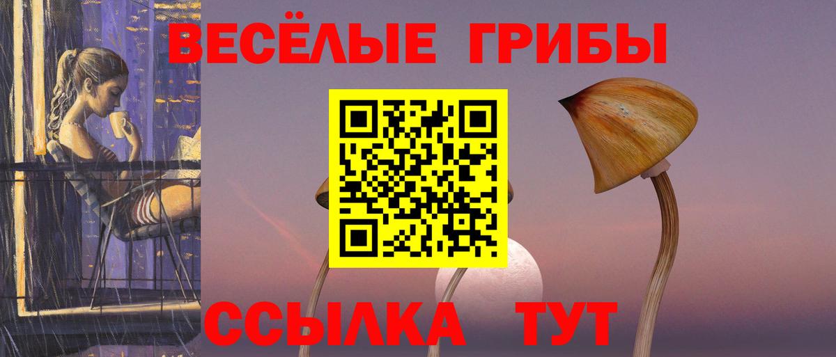 Псилоцибиновые грибы мухоморы  Псилоцибиновые грибы Cubensis  Вход с VPN  Камень-на-Оби 